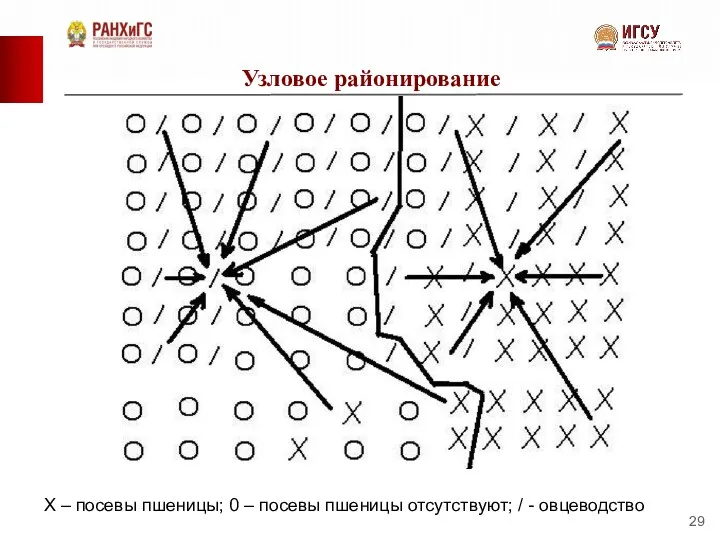 Узловое районирование Х – посевы пшеницы; 0 – посевы пшеницы отсутствуют; / - овцеводство