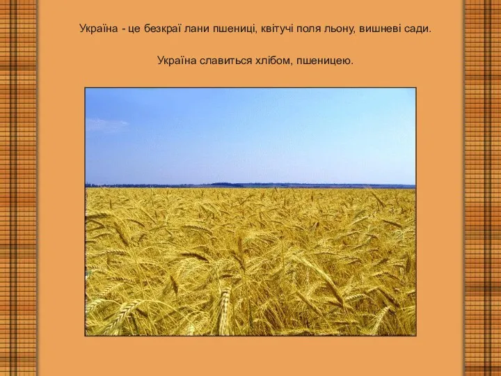 Україна - це безкраї лани пшениці, квітучі поля льону, вишневі сади. Україна славиться хлібом, пшеницею.