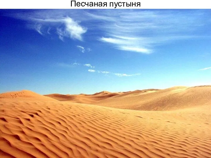 Песчаная пустыня