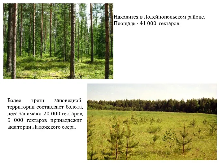 Находится в Лодейнопольском районе. Площадь - 41 000 гектаров. Более трети заповедной территории