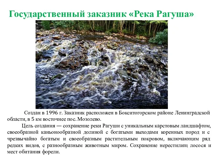 Создан в 1996 г. Заказник расположен в Бокситогорском районе Ленинградской области, в 5