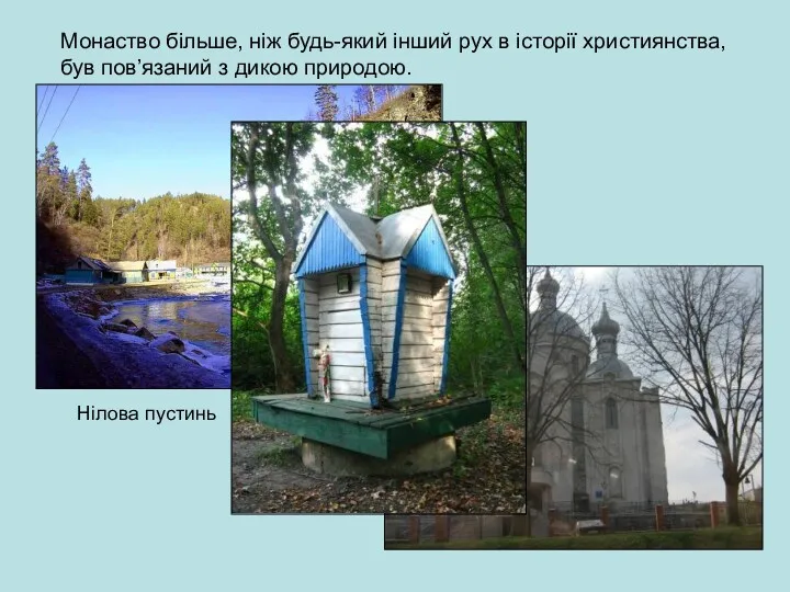 Монаство більше, ніж будь-який інший рух в історії християнства, був пов’язаний з дикою природою. Нілова пустинь