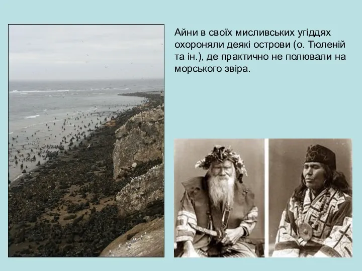 Айни в своїх мисливських угіддях охороняли деякі острови (о. Тюленій