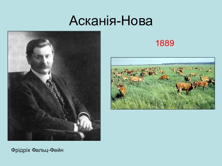 Асканія-Нова Фрідріх Фальц-Фейн 1889