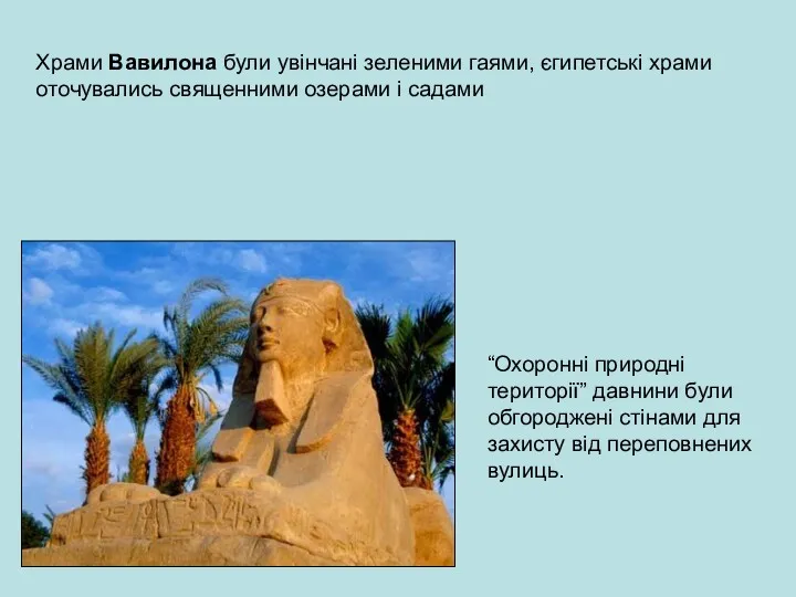 Храми Вавилона були увінчані зеленими гаями, єгипетські храми оточувались священними