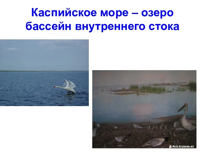 Каспийское море – озеро бассейн внутреннего стока