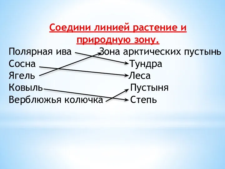 Соедини линией растение и природную зону. Полярная ива Зона арктических