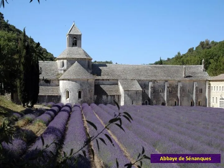 Abbaye de Sénanques