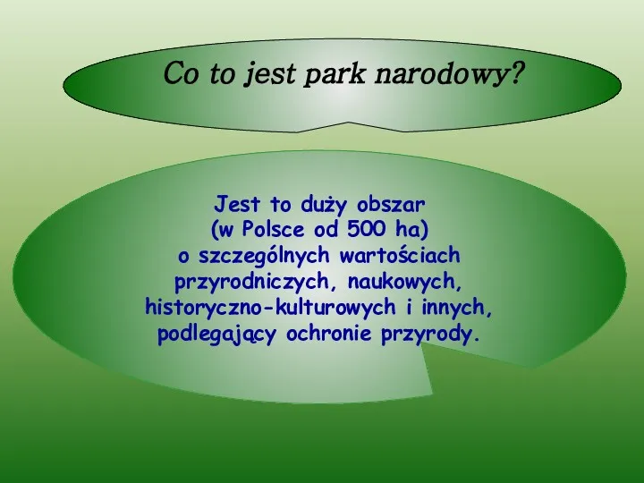 Co to jest park narodowy? Jest to duży obszar (w