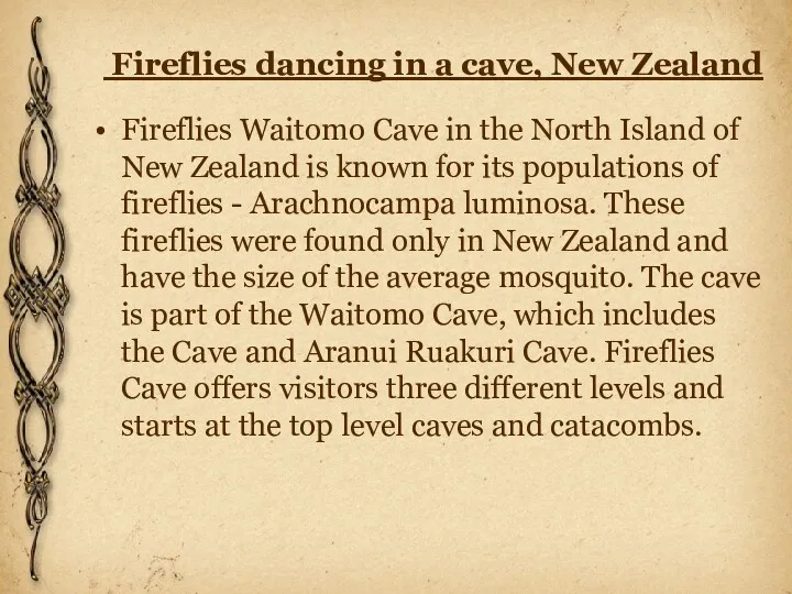Fireflies dancing in a cave, New Zealand Fireflies Waitomo Cave