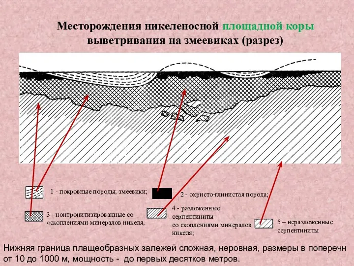 Месторождения никеленосной площадной коры выветривания на змеевиках (разрез) 1 -