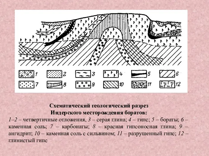 Схематический геологический разрез Индерского месторождения боратов: 1–2 – четвертичные отложения,