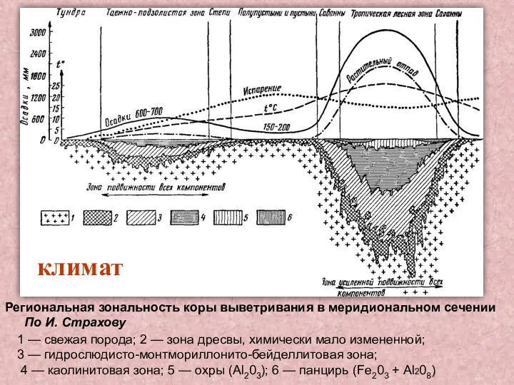 Региональная зональность коры выветривания в меридиональном сечении По И. Страхову