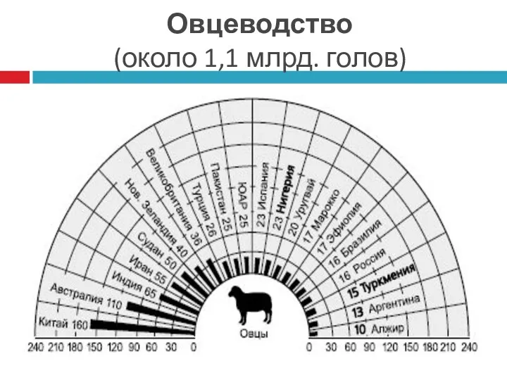 Овцеводство (около 1,1 млрд. голов)