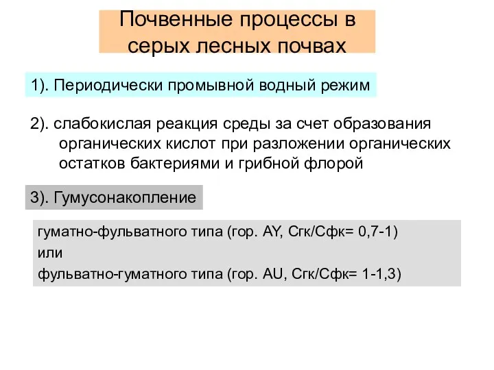 Почвенные процессы в серых лесных почвах 1). Периодически промывной водный