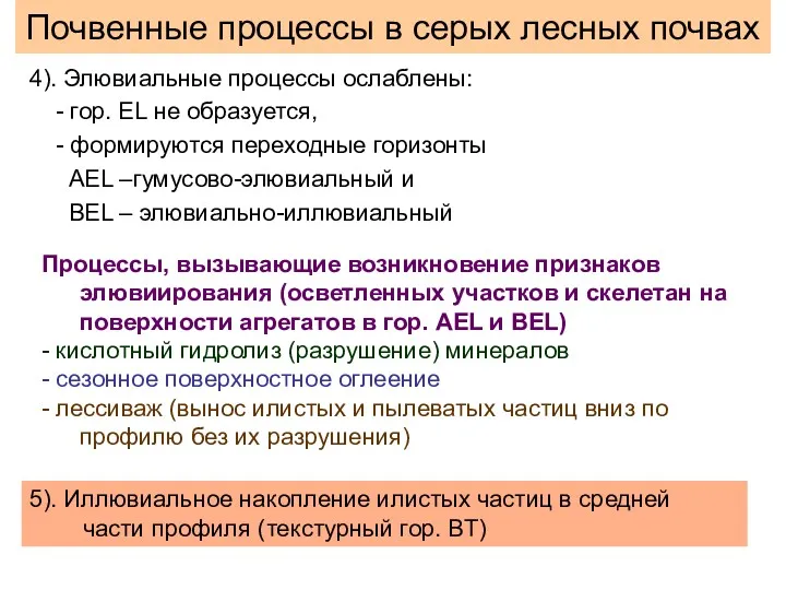 Почвенные процессы в серых лесных почвах 4). Элювиальные процессы ослаблены: