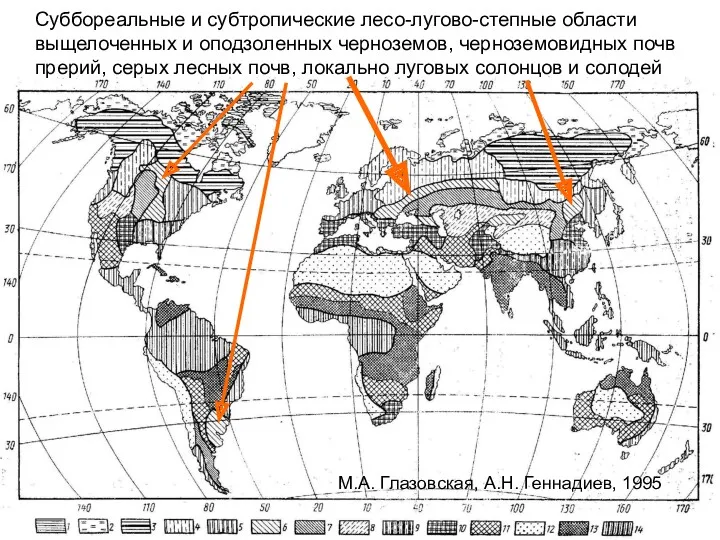 Суббореальные и субтропические лесо-лугово-степные области выщелоченных и оподзоленных черноземов, черноземовидных