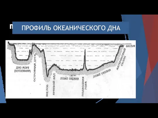 ПРОФИЛЬ ДНА МИРОВОГО ОКЕАНА ПРОФИЛЬ ОКЕАНИЧЕСКОГО ДНА