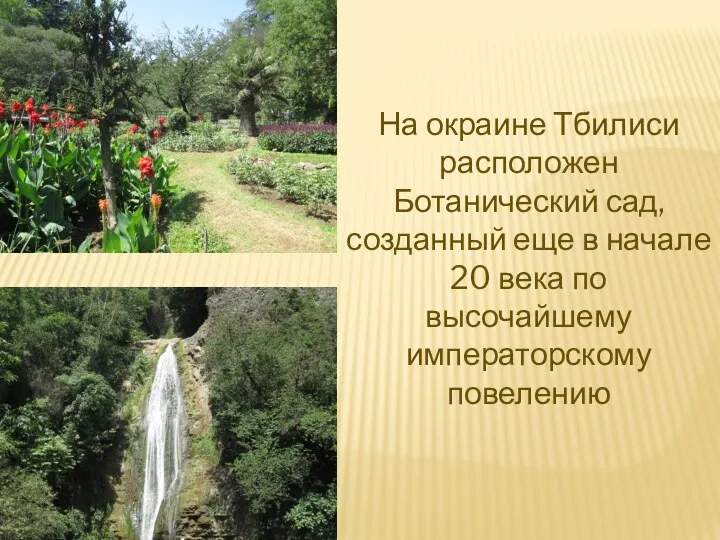На окраине Тбилиси расположен Ботанический сад, созданный еще в начале 20 века по высочайшему императорскому повелению