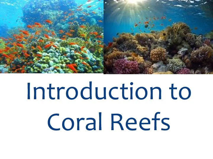 Introduction to Coral Reefs