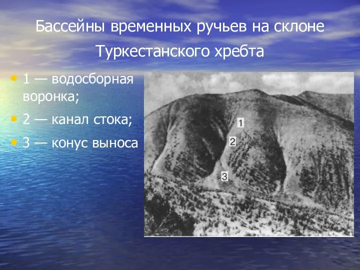 Бассейны временных ручьев на склоне Туркестанского хребта 1 — водосборная