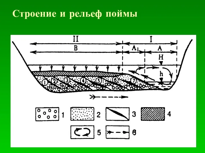 Строение и рельеф поймы