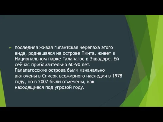 последняя живая гигантская черепаха этого вида, родившаяся на острове Пинта,