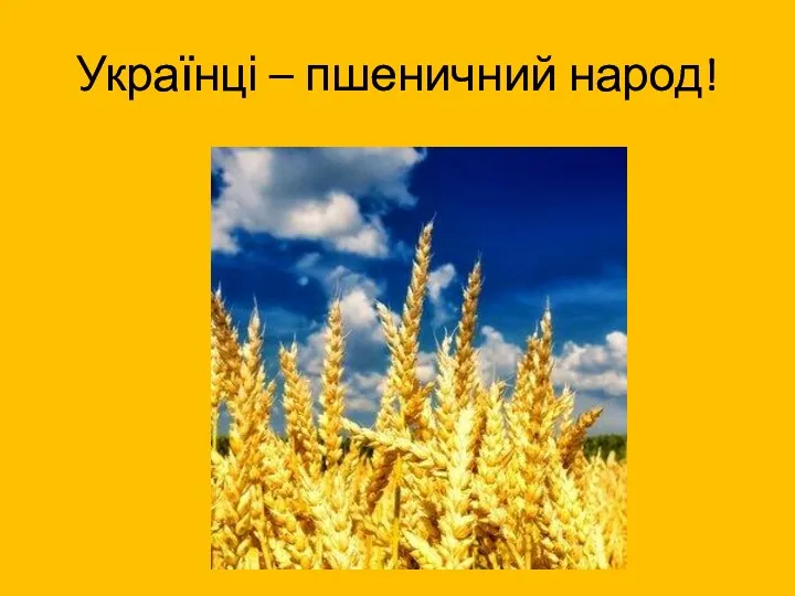 Українці – пшеничний народ!