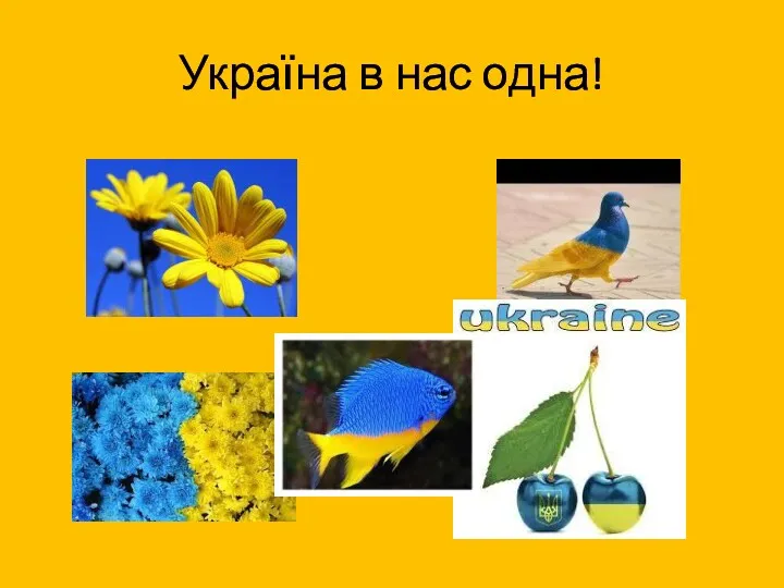 Україна в нас одна!