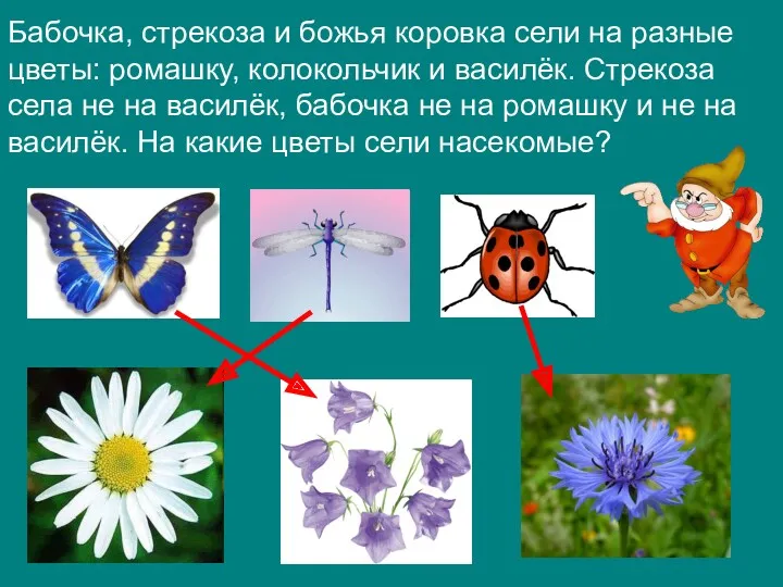 Бабочка, стрекоза и божья коровка сели на разные цветы: ромашку,