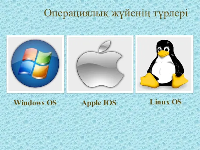 Операциялық жүйенің түрлері Windows OS Apple IOS Linux OS