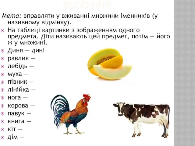 ВІДЛУННЯ Мета: вправляти у вживанні множини іменників (у називному відмінку).