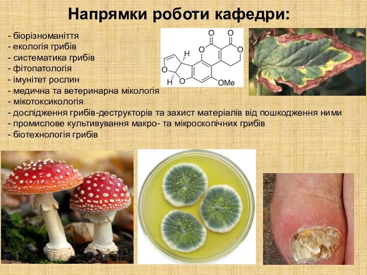 - біорізноманіття - екологія грибів - систематика грибів - фітопатологія - імунітет рослин