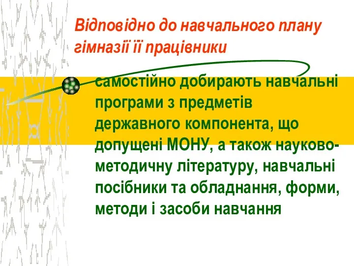 Відповідно до навчального плану гімназії її працівники самостійно добирають навчальні