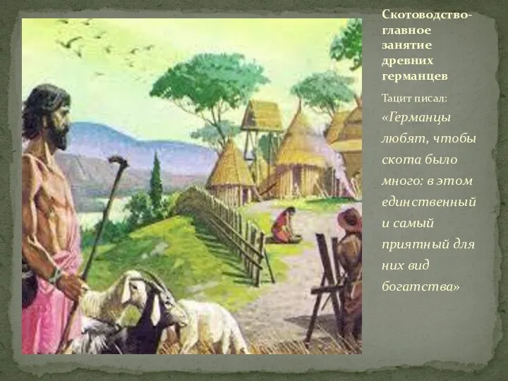 Тацит писал: «Германцы любят, чтобы скота было много: в этом