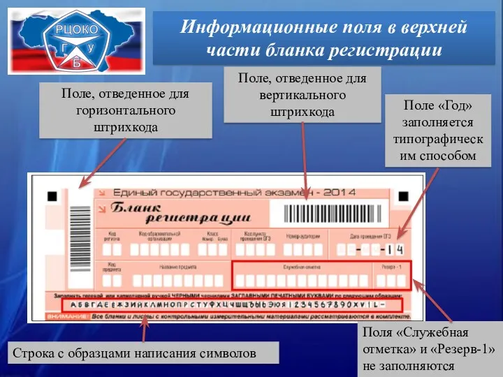 Информационные поля в верхней части бланка регистрации