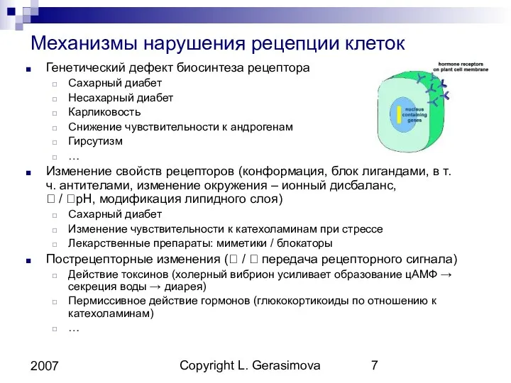 Copyright L. Gerasimova 2007 Механизмы нарушения рецепции клеток Генетический дефект