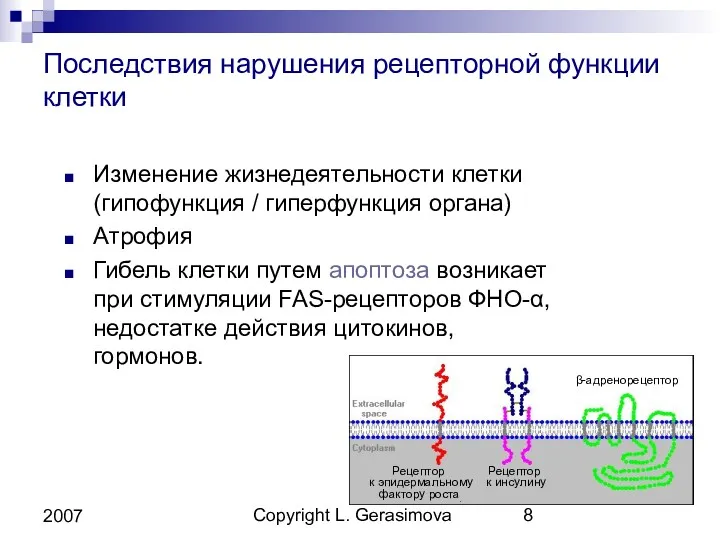 Copyright L. Gerasimova 2007 Последствия нарушения рецепторной функции клетки Изменение