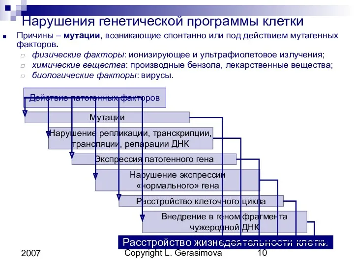 Copyright L. Gerasimova 2007 Нарушения генетической программы клетки Причины –
