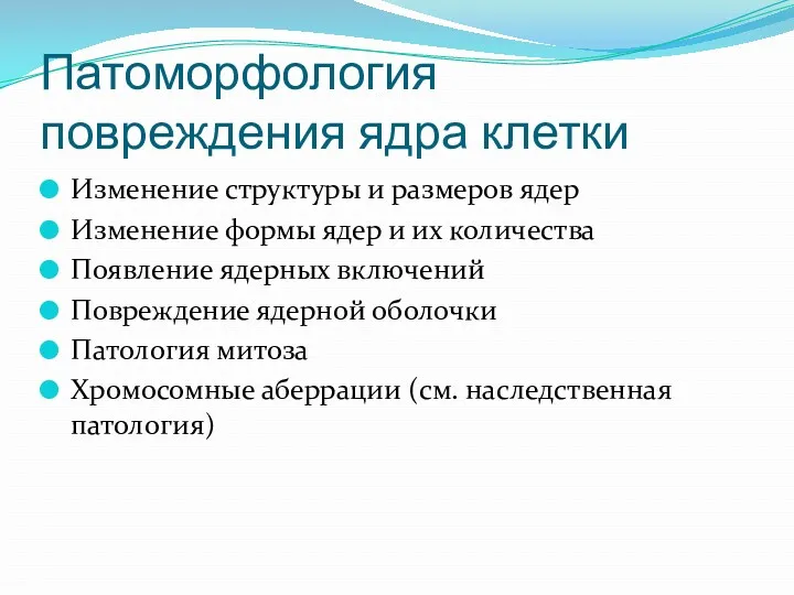 Патоморфология повреждения ядра клетки Изменение структуры и размеров ядер Изменение