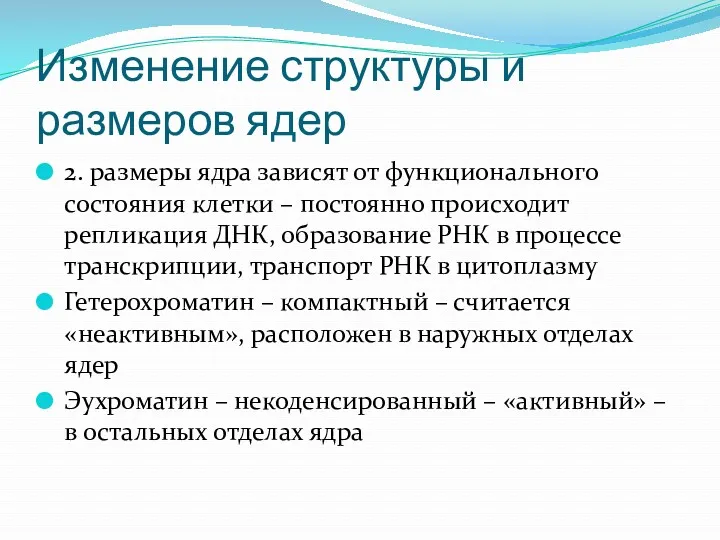 Изменение структуры и размеров ядер 2. размеры ядра зависят от