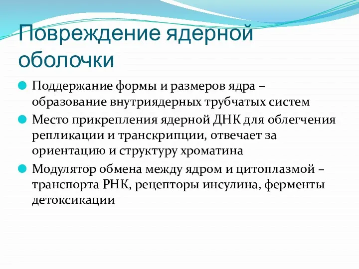 Повреждение ядерной оболочки Поддержание формы и размеров ядра – образование