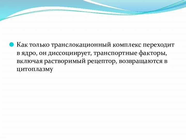 Как только транслокационный комплекс переходит в ядро, он диссоциирует, транспортные