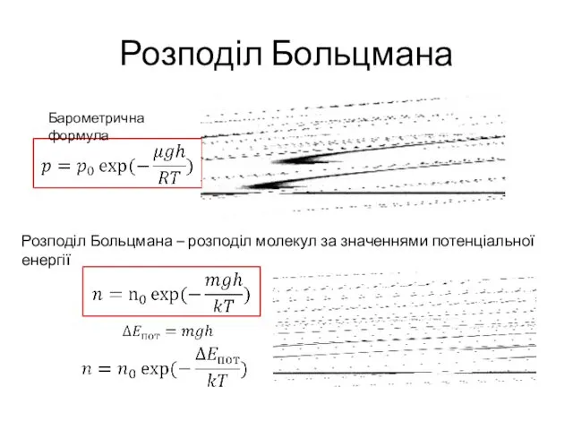 Розподіл Больцмана Барометрична формула Розподіл Больцмана – розподіл молекул за значеннями потенціальної енергії