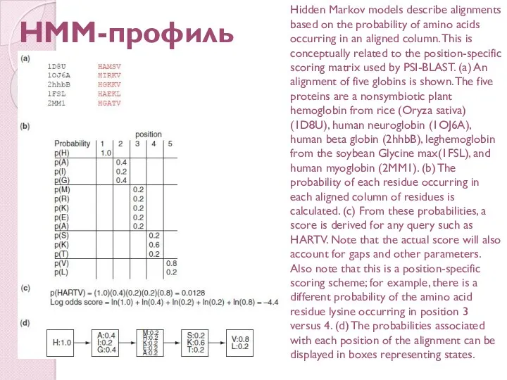 НММ-профиль Hidden Markov models describe alignments based on the probability