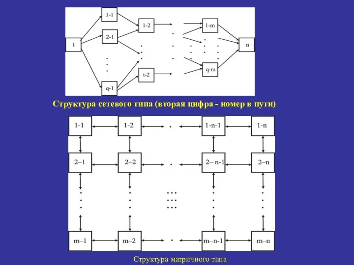 Структура сетевого типа (вторая цифра - номер в пути) Структура матричного типа
