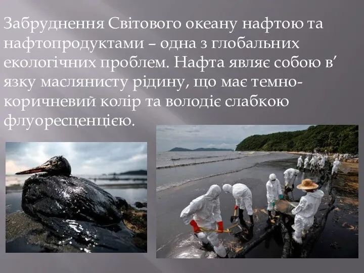 Забруднення Світового океану нафтою та нафтопродуктами – одна з глобальних екологічних проблем. Нафта
