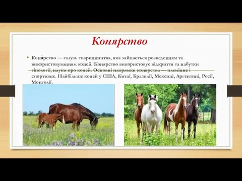 Конярство Коня́рство — галузь тваринництва, яка займається розведенням та використовуванням коней. Конярство використовує