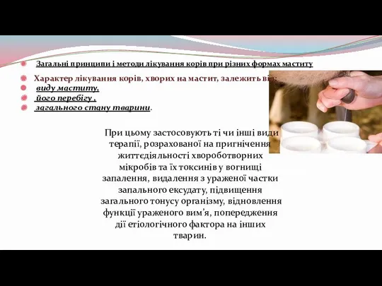 Загальні принципи і методи лікування корів при різних формах маститу