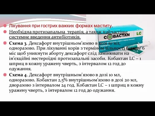 Лікування при гострих важких формах маститу. Необхідна протизапальна терапія, а